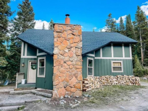 NEW Remodeled Cozy Mountain Getaway Breckenridge
